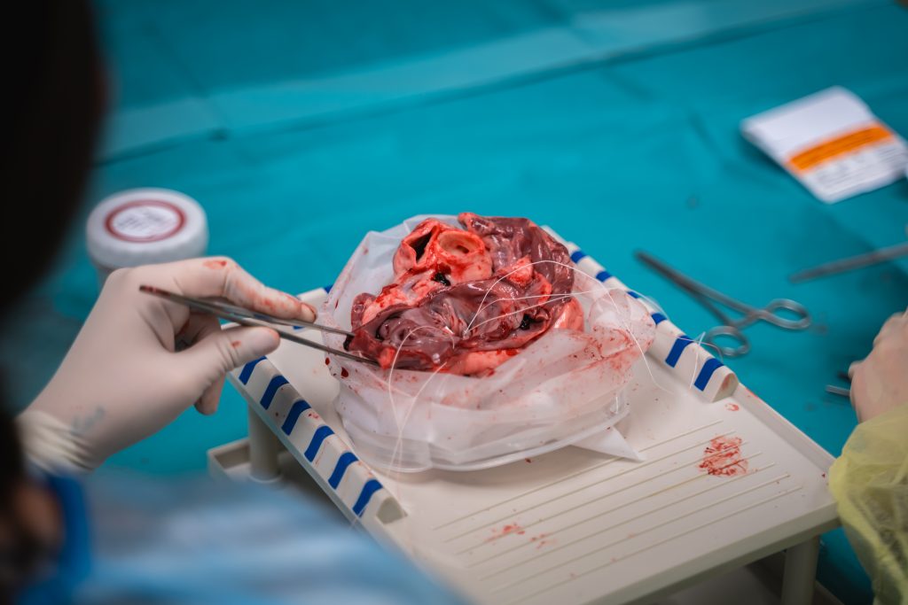 Taller de Cirugía cardíaca JOICE